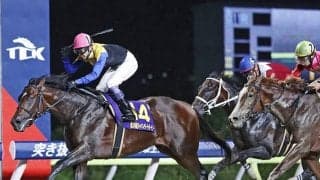 国内ダート路線改革案が発表 さきたま杯JpnI昇格、ジャパンダートダービーの改称決定など