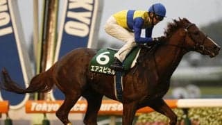 クラシックを賑わせた9歳馬、今年の中山金杯覇者、10歳でGI出走の古豪らがJRA登録を抹消