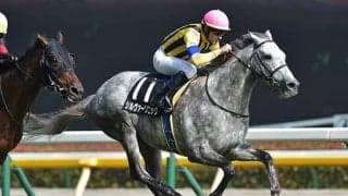 【ステイヤーズS想定騎手】シルヴァーソニックはD.レーン騎手、アイアンバローズは岩田望来騎手