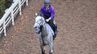 エンツォウーノなど、先週のゲート試験/栗東トレセンニュース