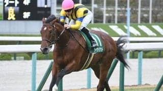 【チャレンジC想定騎手】ソーヴァリアントはC.ルメール騎手、ヒンドゥタイムズは武豊騎手