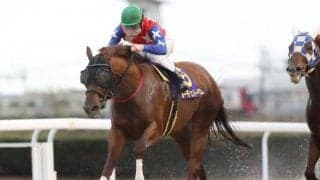 【笠松グランプリ結果】川崎のルーチェドーロが内から差して重賞2勝目