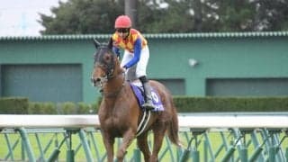 【チャンピオンズC予想オッズ】前年覇者テーオーケインズが予想1番人気