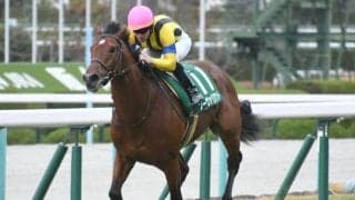 【チャレンジC予想オッズ】前年覇者ソーヴァリアントが予想1番人気