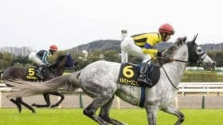 【ステイヤーズS予想オッズ】シルヴァーソニックが予想1番人気