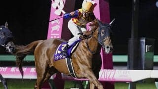 昨年はステッキ一発でGI馬らに圧勝 2021年JRA最優秀ダートホースがチャンピオンズCに出走