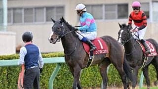 【チャレンジC展望】近年の好走傾向に合うあの馬に期待したい