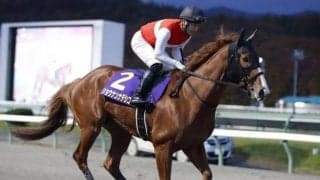 有馬記念馬の妹ホウオウピースフルや女王ショウナンナデシコらがハンデ重賞に挑む/船橋・クイーン賞注目馬