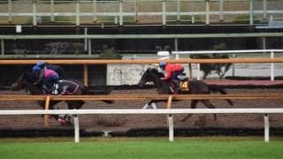 ドゥーラ、阪神JF1週前追い切り速報/栗東トレセンニュース