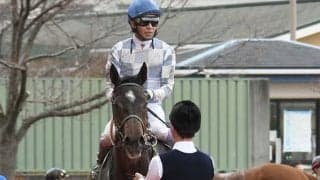 無敗の米三冠馬初年度産駒が骨折 新馬戦は武豊騎手とのコンビで完勝