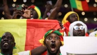 「試合見えてるのかな」「ずっとつけてたわけじゃないよね？」セネガルのスタンドに現れた“ライオン”に日本のファンも大注目「めっちゃリアル」