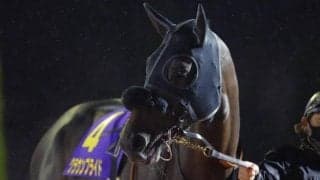 【チャンピオンズC予想】傾向からも死角ナシ 穴党のAIも今回はお手上げか？