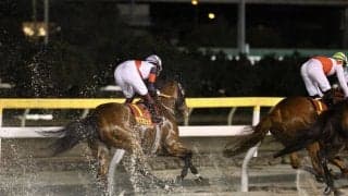 【クイーン賞】福永「勝ち馬が強かった」グランブリッジは2着