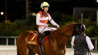 【クイーン賞】吉田隼「動ける位置にはいたのですが…」ショウナンナデシコは伸び切れず