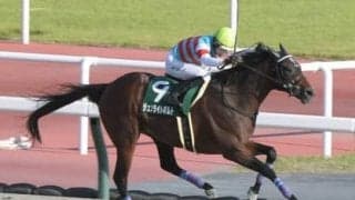 チャンピオンズＣと相性がいいキングカメハメハ産駒。芝からダートに転向して躍動する、２頭の血統分析による信頼度は？