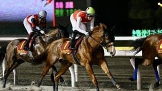 【クイーン賞】吉田隼「結果がついてこない」レース後ジョッキーコメント