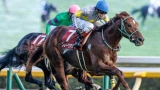 ブレークアップが戸崎騎手とのコンビで有馬記念参戦 今年のアルゼンチン共和国杯覇者
