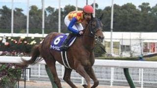 【チャンピオンズC枠順確定】テーオーケインズは6枠12番、クラウンプライドは5枠10番