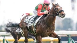 フランケル産駒レイべリングは朝日杯FSへ 近親に海外G1馬多数