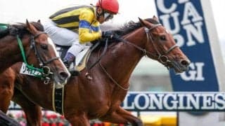 【チャレンジC出走馬・騎手確定】ソーヴァリアント＆ルメール騎手、ヒンドゥタイムズ＆武豊騎手など14頭