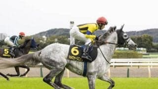 【ステイヤーズS出走馬・騎手確定】シルヴァーソニック＆レーン騎手、アイアンバローズ＆岩田望来騎手など14頭