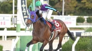 【園田金盃結果】ラッキードリームが6馬身差V、ジンギは2着で3連覇ならず