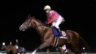 【名古屋グランプリ出走予定馬】ペイシャエス、ケイアイパープルら 