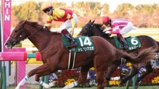 【京阪杯】トウシンマカオが人気に応えて重賞初V