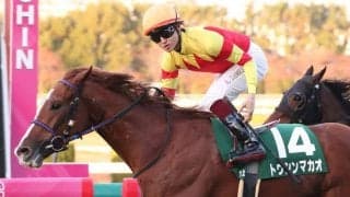 【京阪杯】鮫島駿「スプリント戦線を賑わしてくれる一頭」トウシンマカオが重賞初V