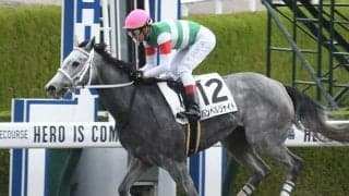 11月20日初勝利のハンベルジャイトは、つわぶき賞で芝コース挑戦/POG