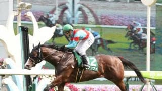 ビアンフェが競走馬登録抹消