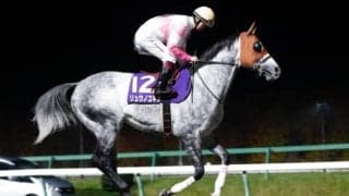 【カペラS想定】リュウノユキナ、ジャスティン、ヒロシゲゴールド、エアアルマスなど17頭