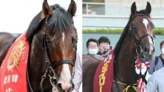 【朝日杯FS想定】ドルチェモア、オールパルフェ、オオバンブルマイ、ダノンタッチダウンなど16頭