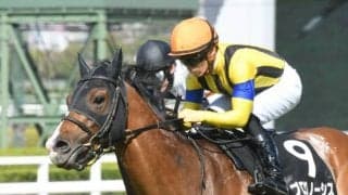 【中日新聞杯想定】プログノーシス、キラーアビリティ、アスクワイルドモア、ハヤヤッコなど19頭