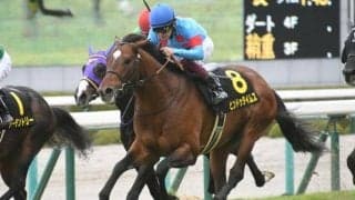 【チャレンジC予想】立ち回りの上手さと心肺能力が求められる別定戦