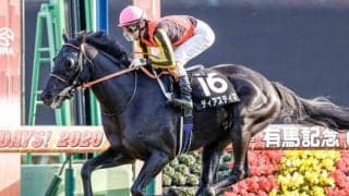 【ステイヤーズS予想】平地重賞の最長距離戦 カギはタフな精神力と機動力