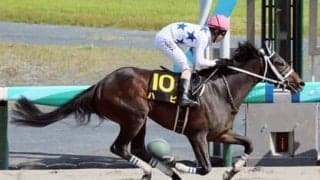 チャンピオンズＣは老獪な騎手が導く伏兵が不気味。本命馬に真っ向勝負を挑む有力馬を尻目に漁夫の利を得るか