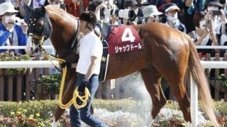 【香港C出走見込馬】12頭中5頭が日本馬 ジャックドール・パンサラッサなど参戦