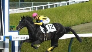 【阪神5R新馬戦結果】フルングニルが人気に応えて快勝