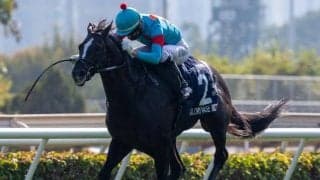 【香港ヴァーズ出走見込馬】ブルームは武豊騎手が騎乗予定 香港ジョッキークラブが発表