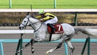 【ステイヤーズS】レーン騎乗 シルヴァーソニックが重賞初制覇