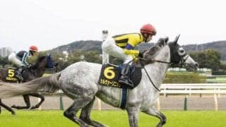 【ステイヤーズS結果】シルヴァーソニックがインから抜け出て重賞初V