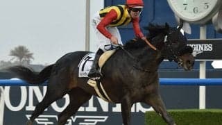 【チャンピオンズC予想】3歳馬は勢いが必要!? テーオーケインズにつけられた決定的な着差