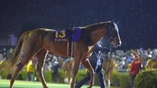 【チャンピオンズC前日オッズ】テーオーケインズが1.8倍で1頭抜けた人気