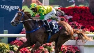 【香港スプリント出走見込馬】メイケイエールなど日本馬4頭に昨年の覇者も参戦