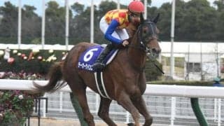 【チャンピオンズC】競馬ファン1万人に聞いた！ テーオーケインズ連覇の可能性は？