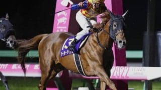 【AI予想・チャンピオンズC】テーオーケインズを負かせる馬は？ 人工知能の出した結論とは