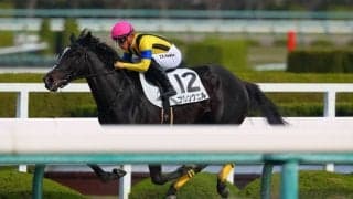 【新馬/阪神5R】イスラボニータ産駒 フルングニルがデビューV