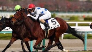 【新馬/阪神6R】サトノアラジン産駒 イリゼがデビューV