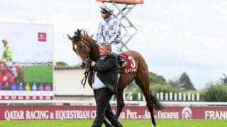 【香港ヴァーズ】ブルームは武豊騎手とのコンビで出走